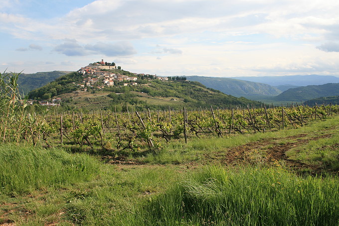 Motovun_006_680.jpg